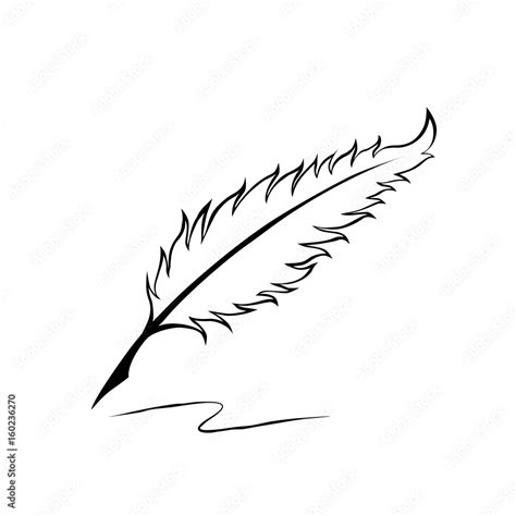 Quill Pen Drawing