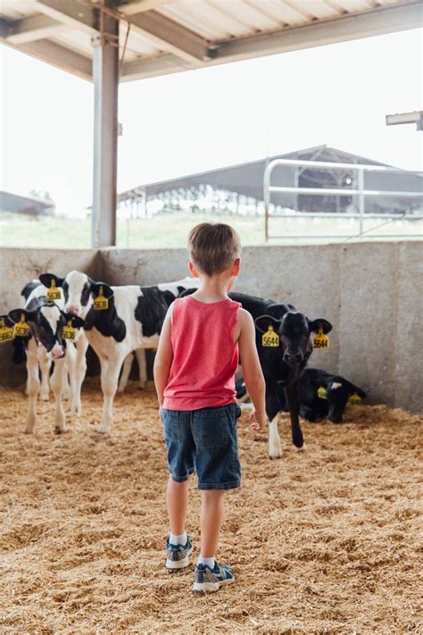 See How Some Of The Best Ice Cream Is Made At Tennessee's Mayfield Dairy