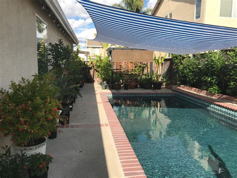 an outdoor swimming pool surrounded by potted plants and greenery with a blue awning over it