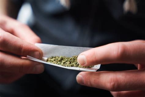 Science Reveals How to Roll the Perfect Joint | Scientific American