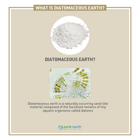 The Wonderfully Diverse Benefits of Diatomaceous Earth