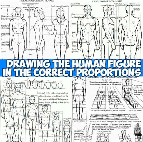 Two Figures That Are Proportional In Size