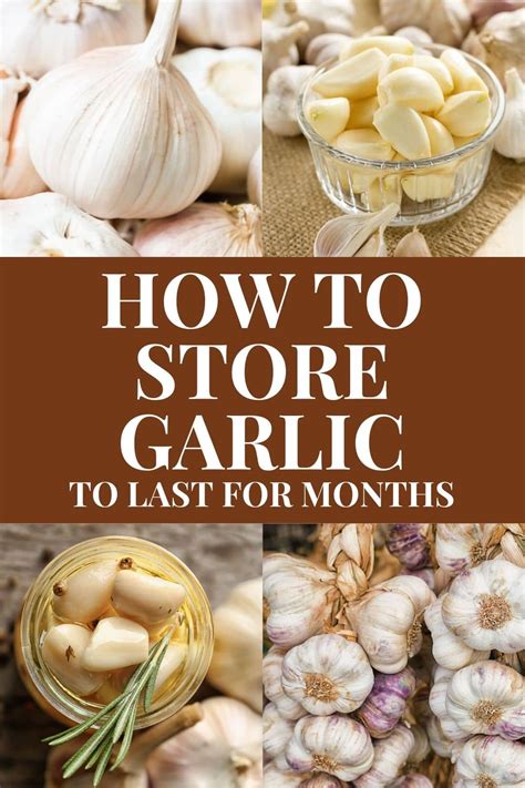 How to Store Garlic For a Long Time - Brooklyn Farm Girl