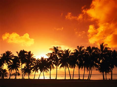 Celebrity Wallpapers: Island Sunset Wallpapers