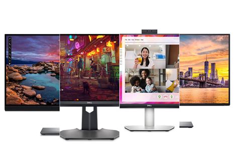 The best Dell monitors of 2022 | Popular Science