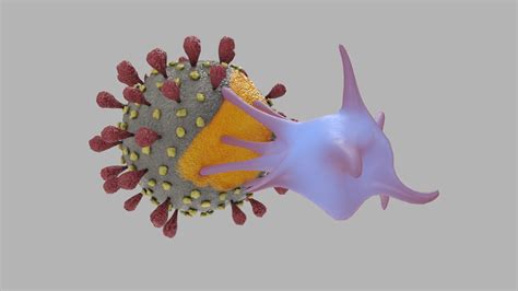 T-cell virus 3D model - TurboSquid 1557497