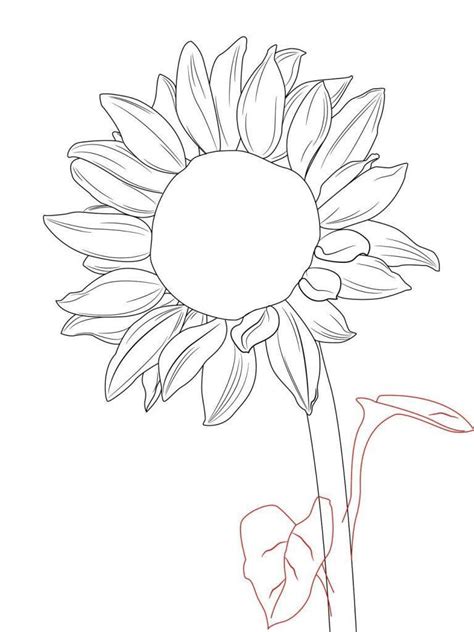 20+ Sunflower Drawing Ideas For Beginners - HARUNMUDAK