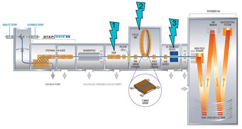 Consécutif mesure Transpiration ion mobility mass spectrometry ...