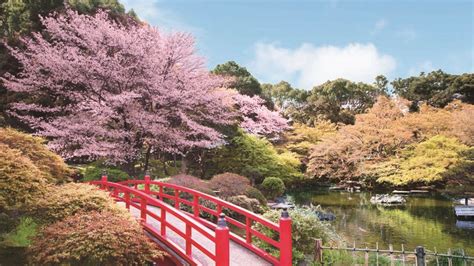 Hotel New Otani Landscape Garden | Things to do in Kioicho, Tokyo