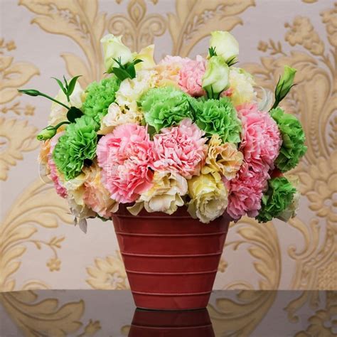 Close up colorful carnation bouquet in ... | Stock image | Colourbox