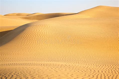 Sand dunes of desert Thar stock image. Image of india - 105634317