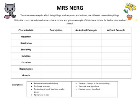 MRS GREN worksheet by Woffles92 - Teaching Resources - Tes