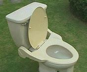 Zap*Germs: A Self-cleaning Toilet Seat?