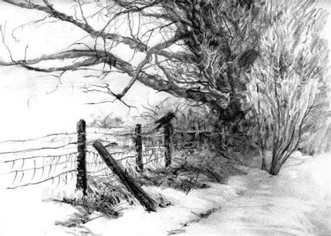 18 Pencil Drawings Of Nature That Will Make You Want To Be An Artist