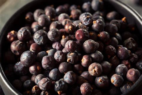 Juniper Berries: The Flavor Of Gin And Alpine Cooking