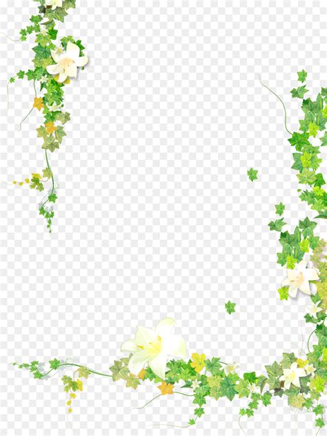 plant borders clipart 10 free Cliparts | Download images on Clipground 2024