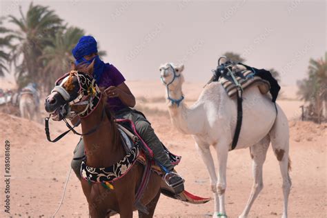 Middle eastern camels in a desert. African riding a horse with camel behind him. Africa, Sahara ...