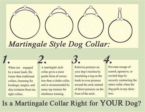 Advantages of the Martingale Collar: | Canadian Chihuahua Rescue and ...