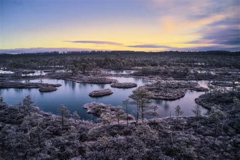 Estonia, nature, swamp, sky, landscape, winter, lake HD Wallpaper