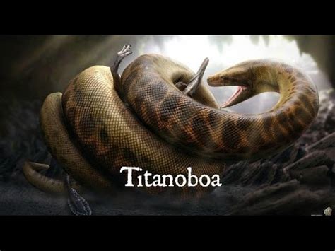 Titanoboa Documentary- Biggest snake ever discovered - YouTube