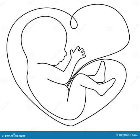 Baby In Womb Stock Photography | CartoonDealer.com #82868972