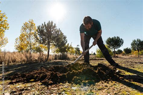 Volunteer gardener planting trees Stock Photo | Adobe Stock