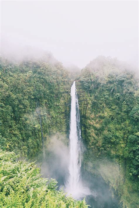 Wonderwall - Akaka Falls State Park, United States | by...