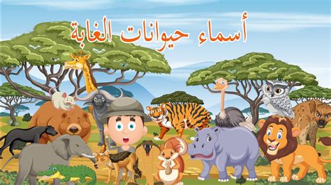 أسماء حيوانات الغابة للأطفال - Wild animals for kids - YouTube