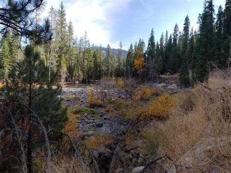 French Meadows Campground - Iris Meadow Campground Inyo National Forest ...