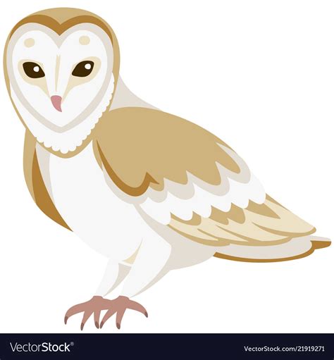 Cartoon barn owl Royalty Free Vector Image - VectorStock