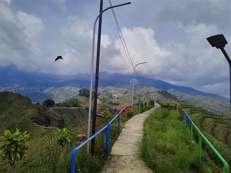 Panyaweuyan Terracing stock image. Image of terraces - 272461813