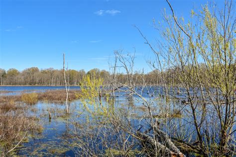 Pee Dee National Wildlife Refuge - Steph Purk