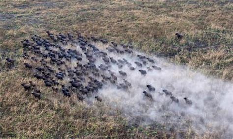 Gambella National Park | Brilliant Ethiopia