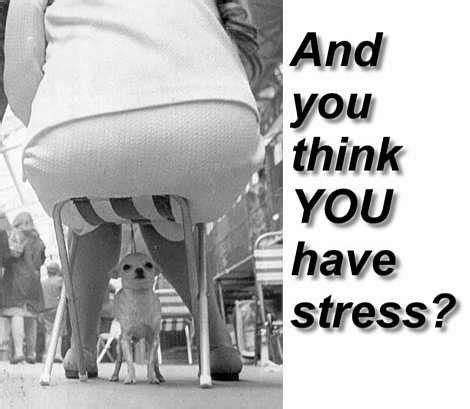 Funny Quotes About Work Stress. QuotesGram