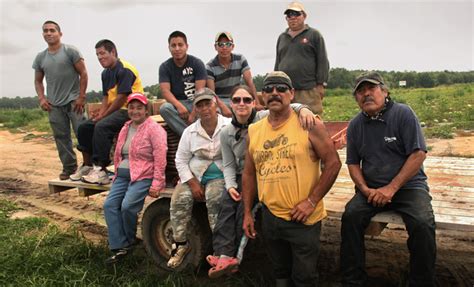 The Migrant / Seasonal Farmworker | Migrant Clinicians Network