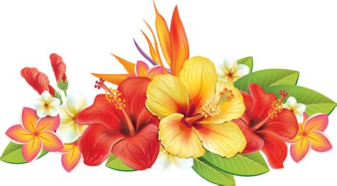 Тропические | Flower painting, Flower art, Flower png images
