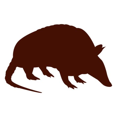 Armadillo silhouette #AD , #Affiliate, #ad, #silhouette, #Armadillo ...