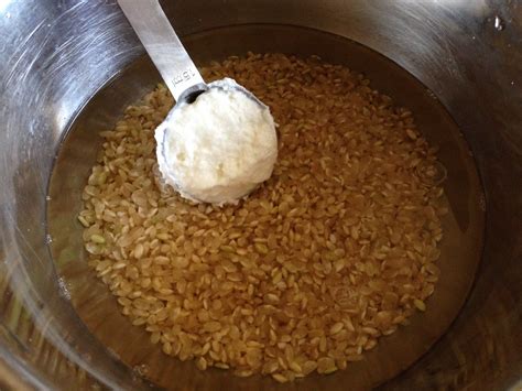 Brown rice pre-fermentation | with Fage Greek Yogurt. | Flickr