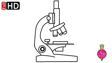 How To Draw A Microscope - Statementpresentation5