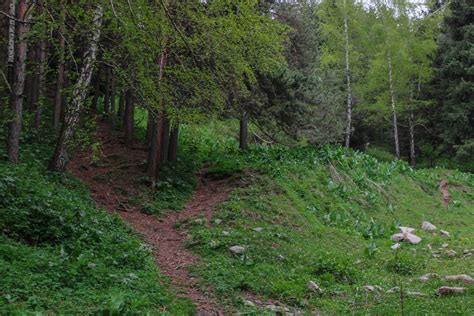 Hiking to Butakovskiy Waterfall in Almaty: Kazakhstan Nature at its Finest