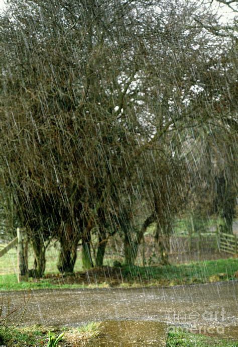 Sleet Photograph by John Howard/science Photo Library | Fine Art America