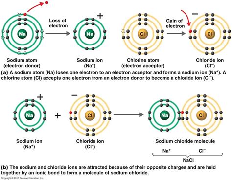 Diagram Of The Formation Of An Ionic Compound