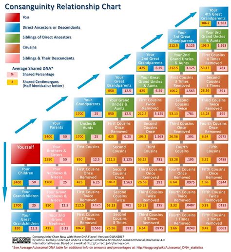 Consanguinity relationship chart - How much DNA do you share with your ...