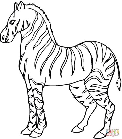 zebra colouring picture - Google Search | Zebra coloring pages, Animal coloring pages, Animal ...