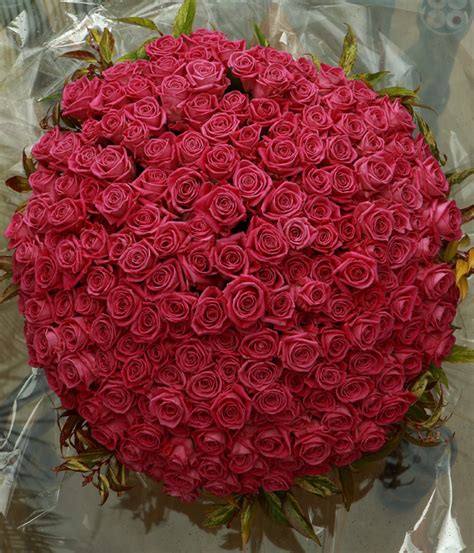 200 Roses Bouquet | flowerandballooncompany.com