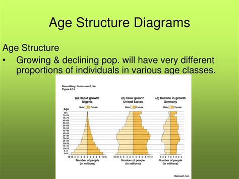 Age Structure Diagram Definition