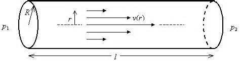 Viscosity of Gases