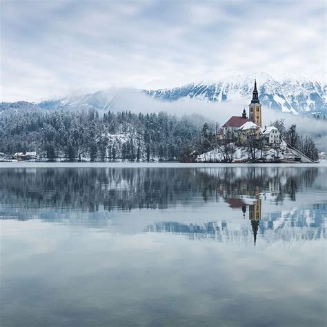 Lake Bled Winter Swimming Championships 2020 • Strel Swimming Adventure ...