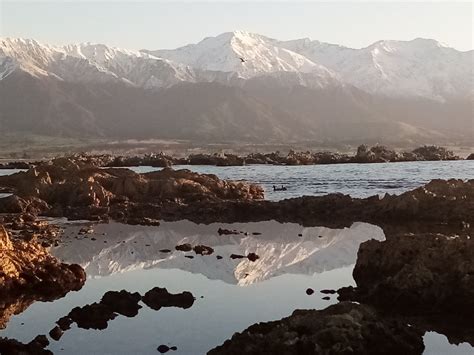 Favourite places: Kaikoura | Otago Daily Times Online News