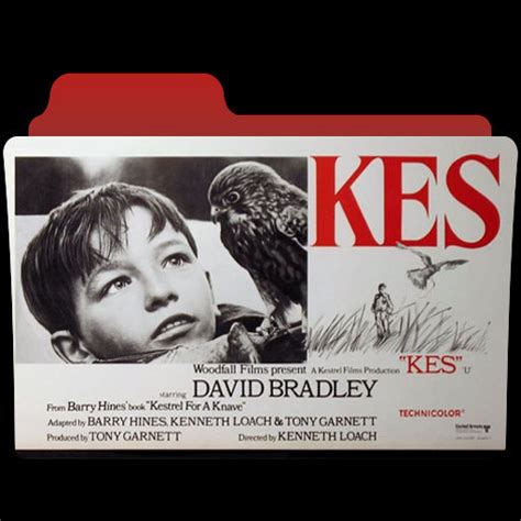 Kes (1969) Movie Folder Icon by GalahadArtworks on DeviantArt